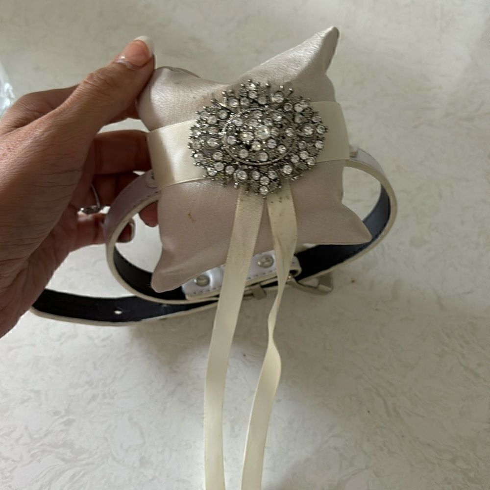 Handmade dog leash for ringbearer for wedding- pillow with rhinestones & ribbon